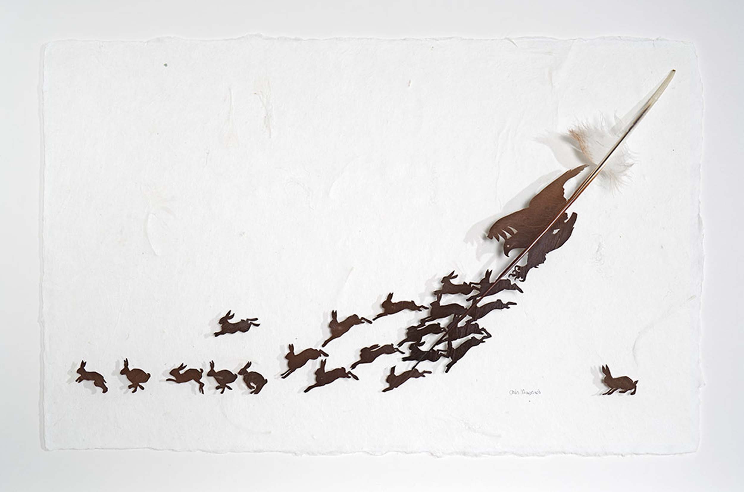Chris Maynard Art Featherfolio.03.jpg