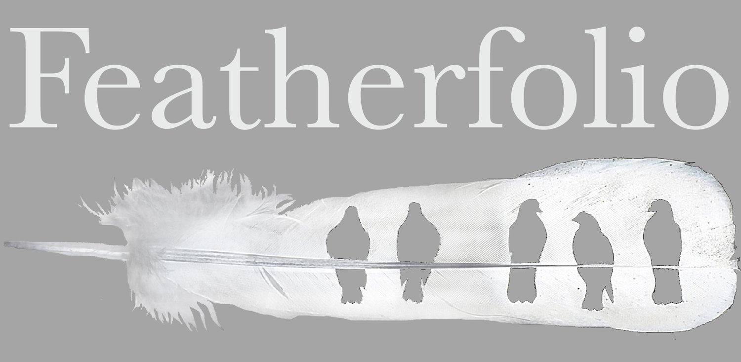 birdsofafeathersale-168官网幸运5澳洲结果查询体彩